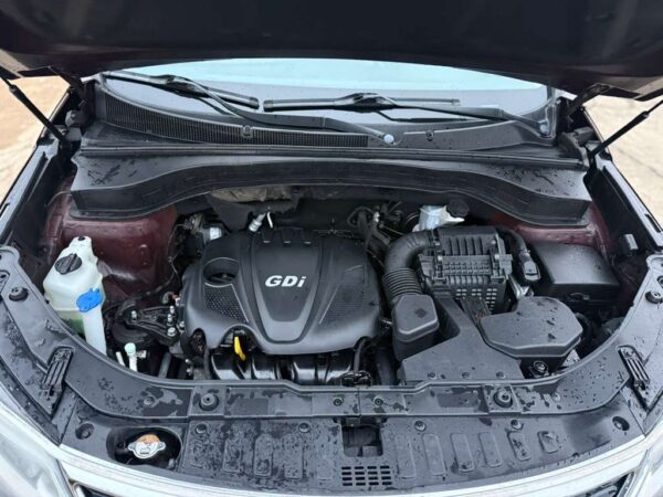 WhatsApp Image 2026-01-25 at 1.12.29 PM