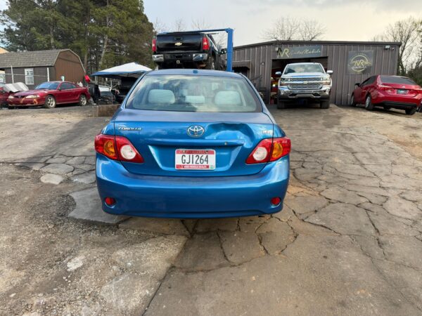 WhatsApp Image 2026-03-08 at 10.25.22 AM