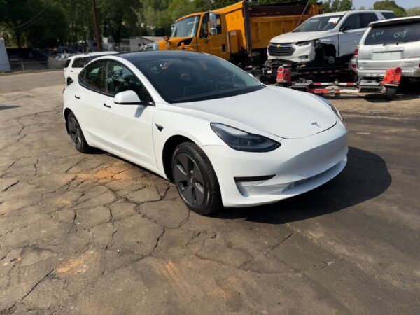 WhatsApp Image 2026-04-08 at 4.47.46 PM (5)